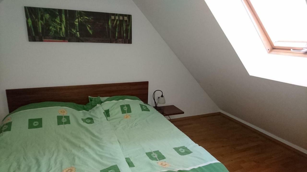 Apartma Geoteh Terme Catez 6032 Villa Krško Buitenkant foto
